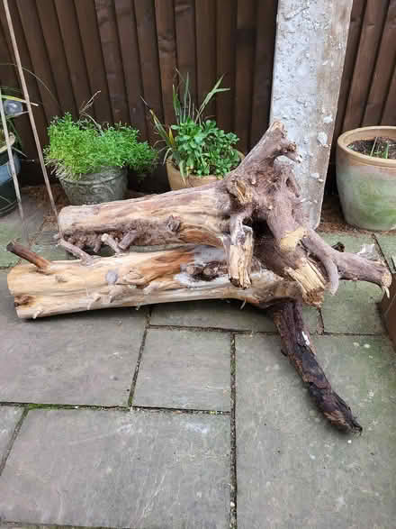 Photo of free Wood Offcuts and Tree Stumps (Milton BS22) #2