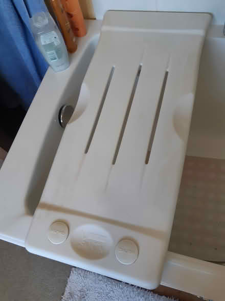 Photo of free Bath seat (Reigate RH2) #1