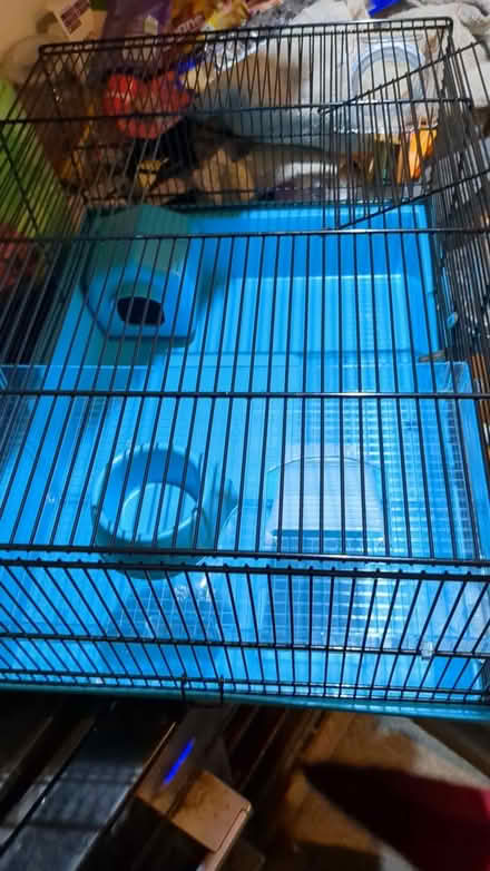 Photo of free Hamster cage (Greenhill S8) #1