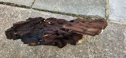 Photo of free Aquarium decorative driftwood approx 45Wx29H (Thornton FY5) #1