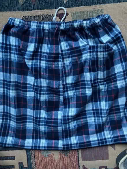 Photo of free plaid flannel skirt sz L (south sunnyvale) #2