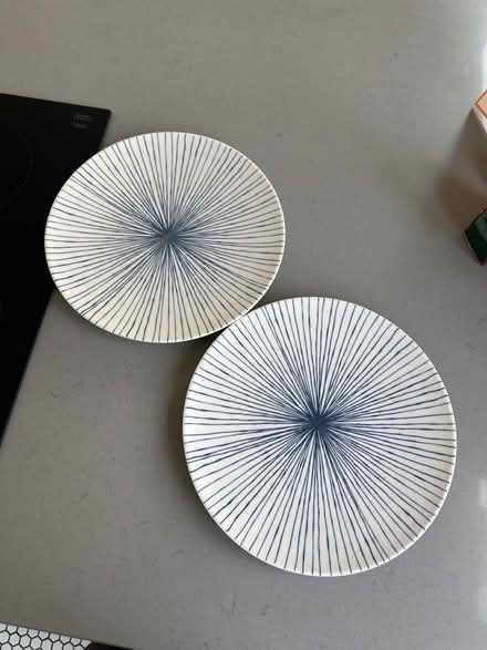 Photo of free 2 x dinner plates (Ware SG12) #1