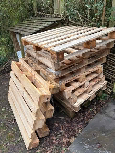 Photo of free 9 pallets (Radnage HP14) #1