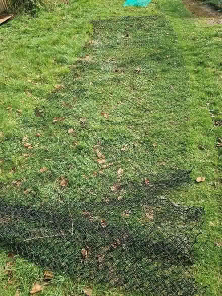Photo of free Chain link fencing (Highworth SN6) #1