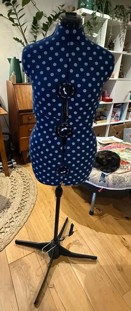 Photo of free Dressmakers mannequin - adjustable (Peckham SE15) #1