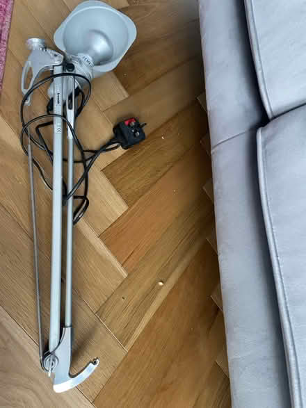 Photo of free Artemis’s desk lamp (Penge, SE20) #1