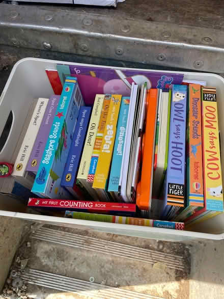 Photo of free A collection of children's books (Halls Green CM19) #1