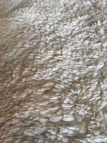 Photo of free White faux fur rug 115 x 165 cm (CM18) #2