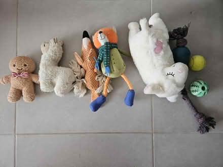 Photo of free Dog toys (Twickenham TW2) #1