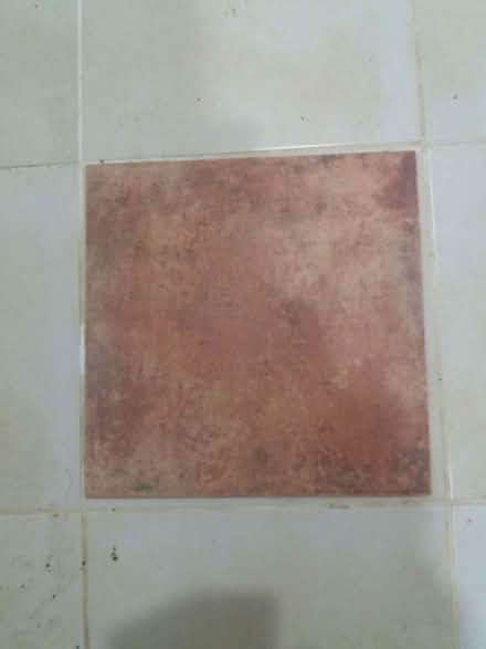 Photo of free Terracotta-coloured floor tiles (x11) 40 cm x 40 cm x 8mm (Malvern Wells WR14) #1
