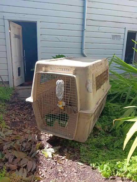 Photo of free Lrge Dog Crate (West San Jose) #1