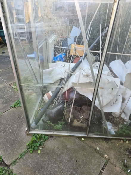 Photo of free Greenhouse (Brownsover CV21) #3