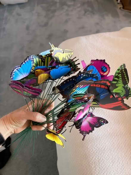 Photo of free Butterflies-metal stakes decoration (Monta Vista) #3