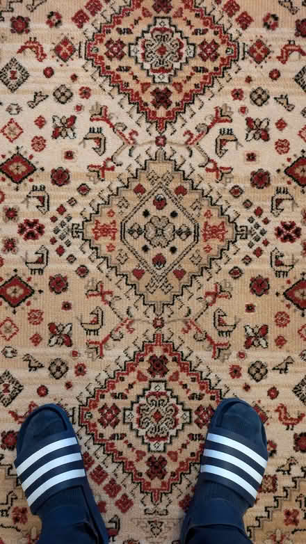 Photo of free A patterned rug (Catford SE6) #3