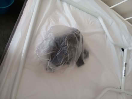 Photo of free Bed rail (Wellesbourne CV35) #1