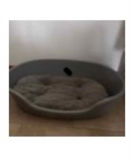 Photo of Large Plastic Dogs Bed (ME139 bh) #1