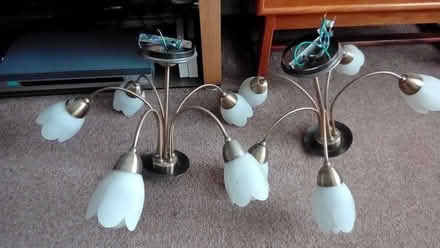 Photo of free 2 ceiling multi lights (Pickering YO18) #1