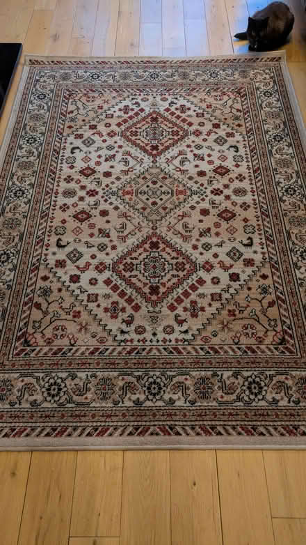 Photo of free A patterned rug (Catford SE6) #1