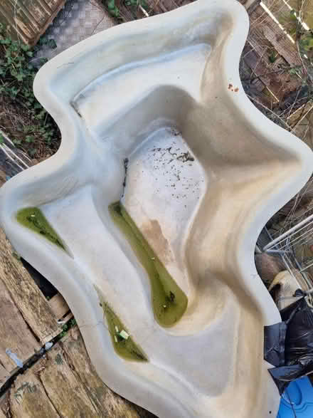 Photo of free Pond (Leonard stanley) #1