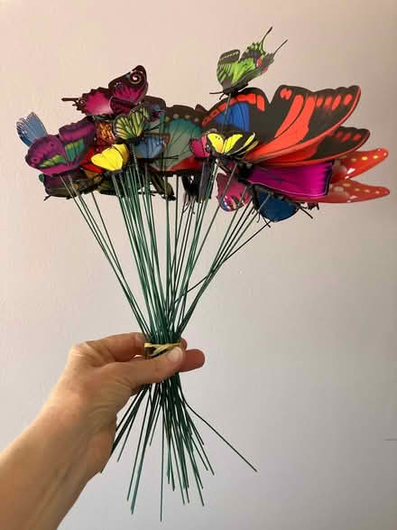 Photo of free Butterflies-metal stakes decoration (Monta Vista) #1