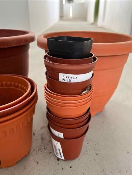 Photo of Plant pots (Hollingdean BN1) #1