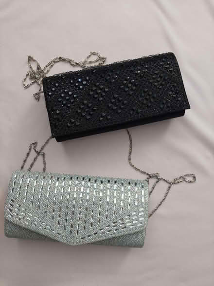 Photo of free Sparkly clutches (near Ilchester Elementary) #1