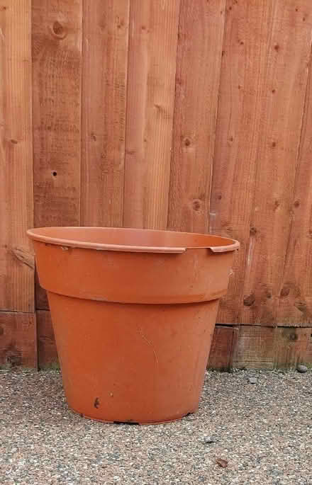 Photo of free A large, plastic flower pot. (Whittington SY11) #1