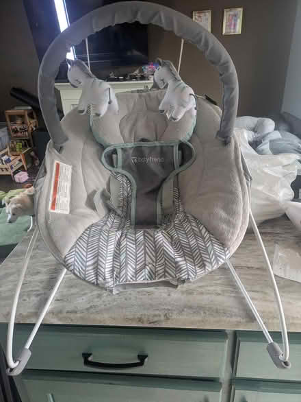 Photo of free Baby bouncer (Pasadena/ Glen Burnie border) #1
