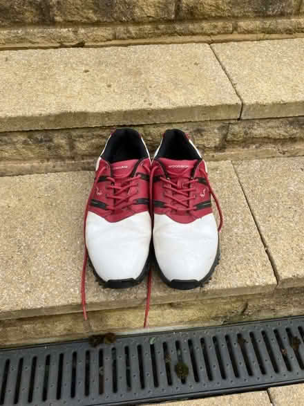 Photo of free Golf trolley and size 10 shoes (Wokingham RG40) #2