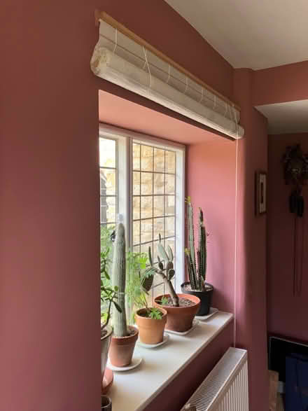 Photo of free 3 Chinese style roller blinds (Yelford OX29) #2