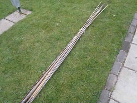 Photo of free Garden Canes (Marlbrook B61 0HS) #1
