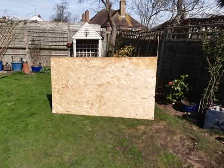 Photo of free Osb boards x 2 (Burgess hill) #1
