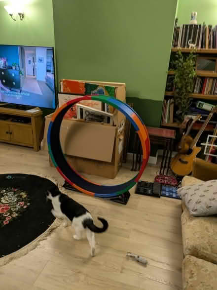 Photo of free Cat exercise wheel (Chapeltown LS7) #1