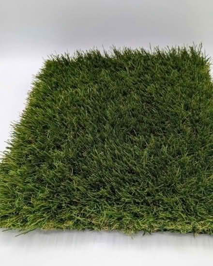 Photo of Artificial grass / Astroturf (Streatham SW16) #1