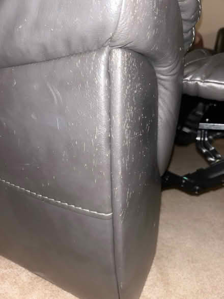 Photo of free Couch and Love Seat (North Laurel) #4