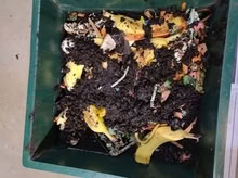 Photo of free The Worm Factory Composter (West Des Moines) #1