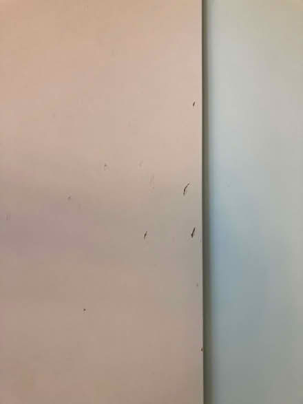 Photo of free Desk (large) -IKEA - ‘Bekant’ (Southmoor OX13) #4