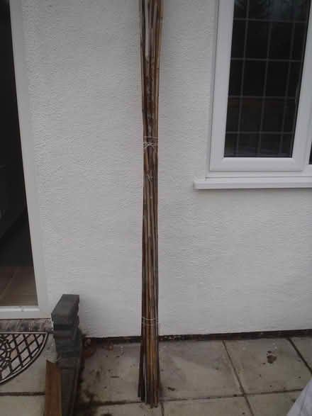Photo of free Garden Canes (Marlbrook B61 0HS) #2