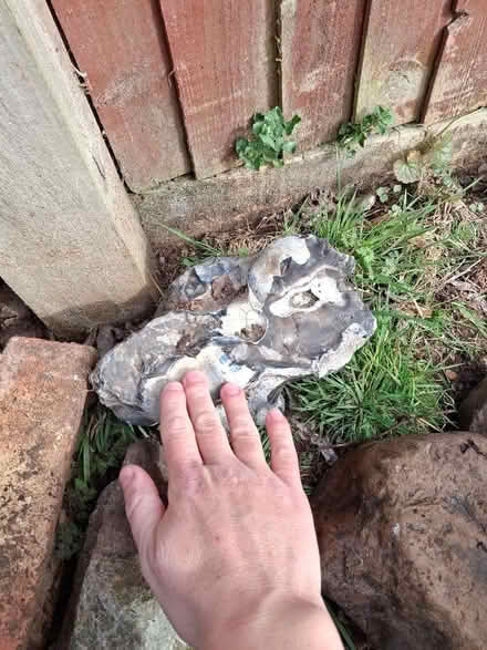 Photo of free Flint decorative stones (Watton at Stone SG14) #1
