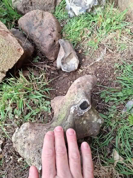 Photo of free Flint decorative stones (Watton at Stone SG14) #2