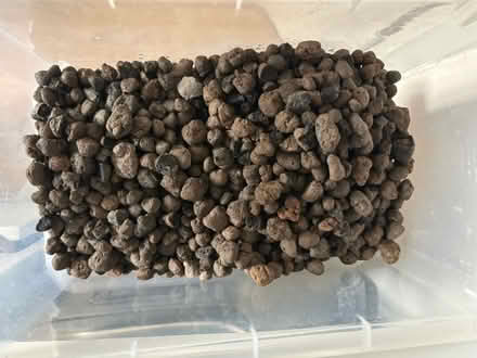 Photo of free Clay growing medium LECA (Near deptford bridge) #1