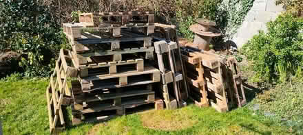 Photo of free Pallets (Raheny Dublin 5) #1