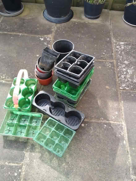 Photo of free A selection of seed trays and pots (Ebley GL5) #1
