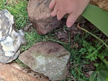 Photo of free Flint decorative stones (Watton at Stone SG14) #3