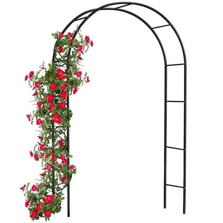 Photo of free x2 Metal Garden Arches (Hackney E9) #2