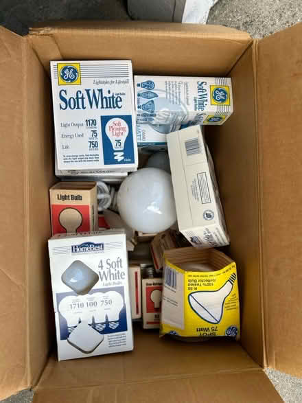 Photo of free Light bulbs (south elmhurst) #1