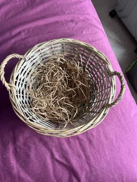 Photo of free Gift basket (Nether Edge S7) #2