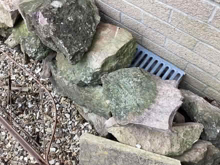 Photo of free Rockery stones - about 20 (Kenn Road BS21) #3