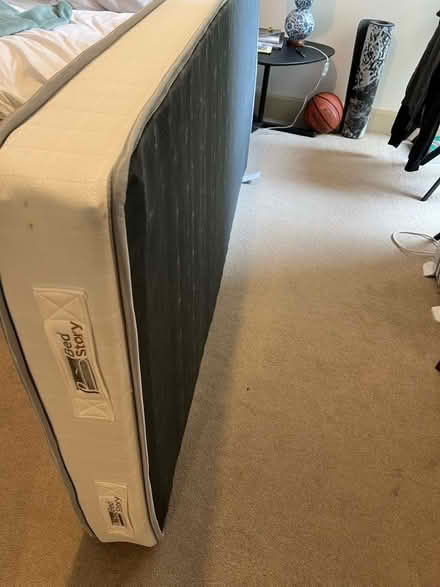 Photo of free Single mattress (Kew TW9) #1
