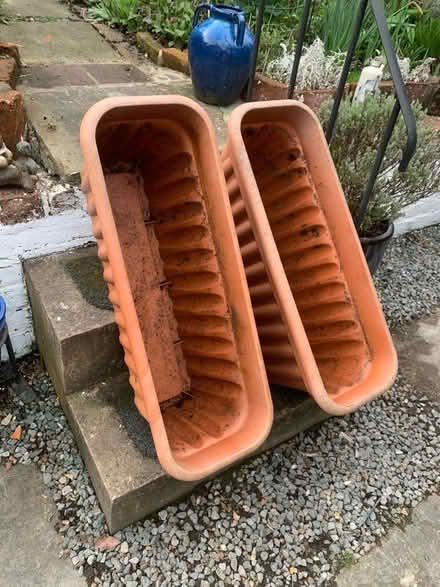Photo of free Plant troughs (Presteigne LD8) #1